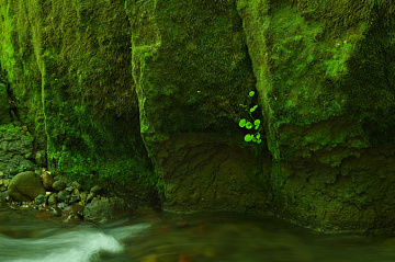 Photo by Yoshiaki Kobayashi
